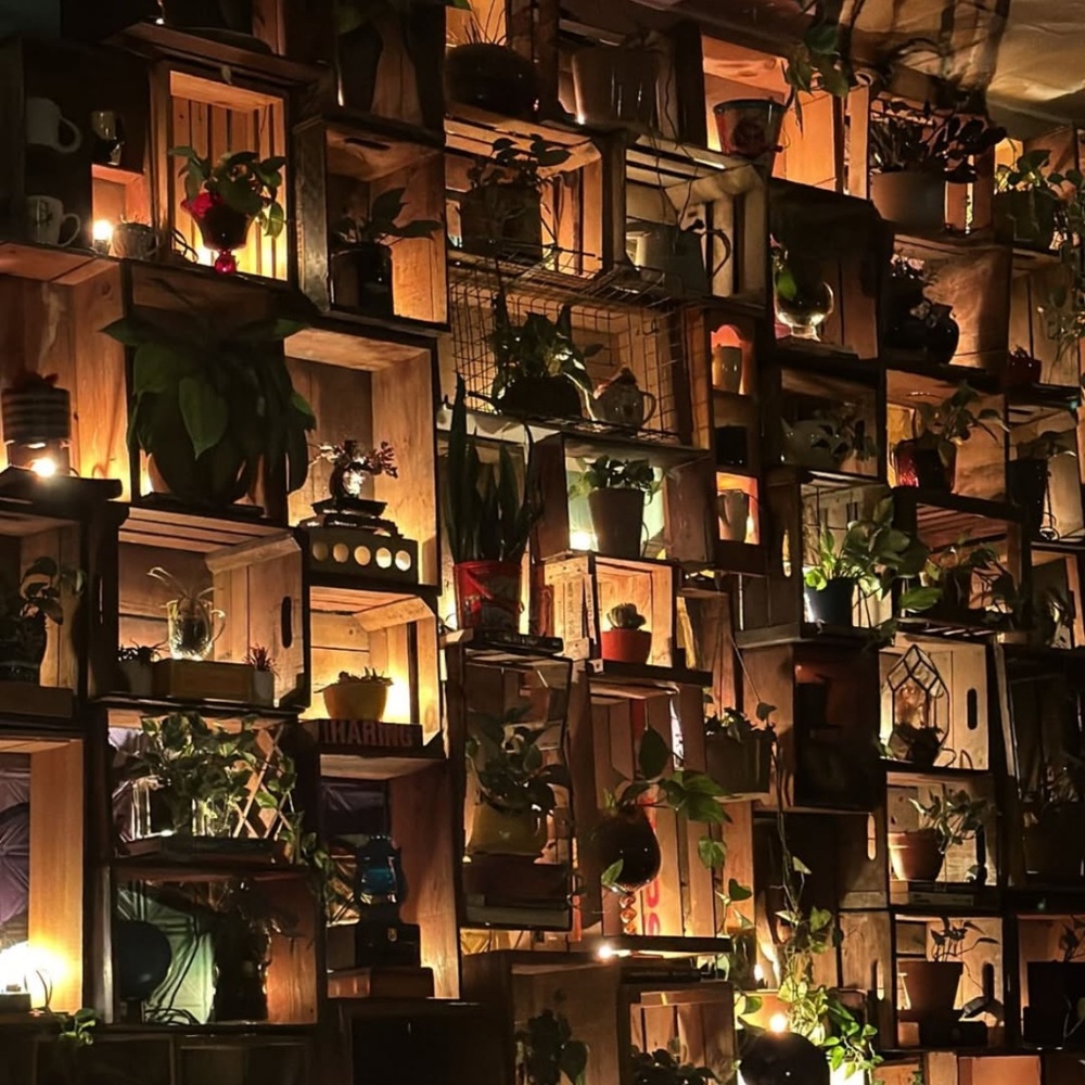 Meet your Posher, Raveena & Rose